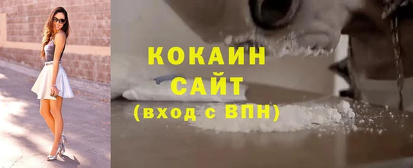apvp Бородино