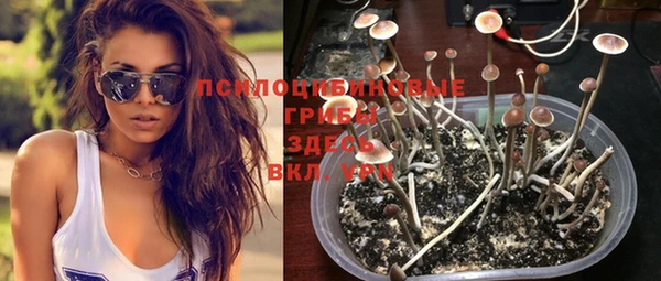 мет Богданович