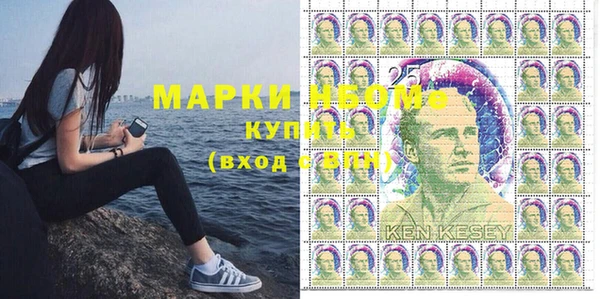 apvp Бородино