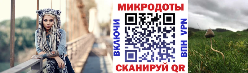 kraken ONION  Медынь  Псилоцибиновые грибы GOLDEN TEACHER 